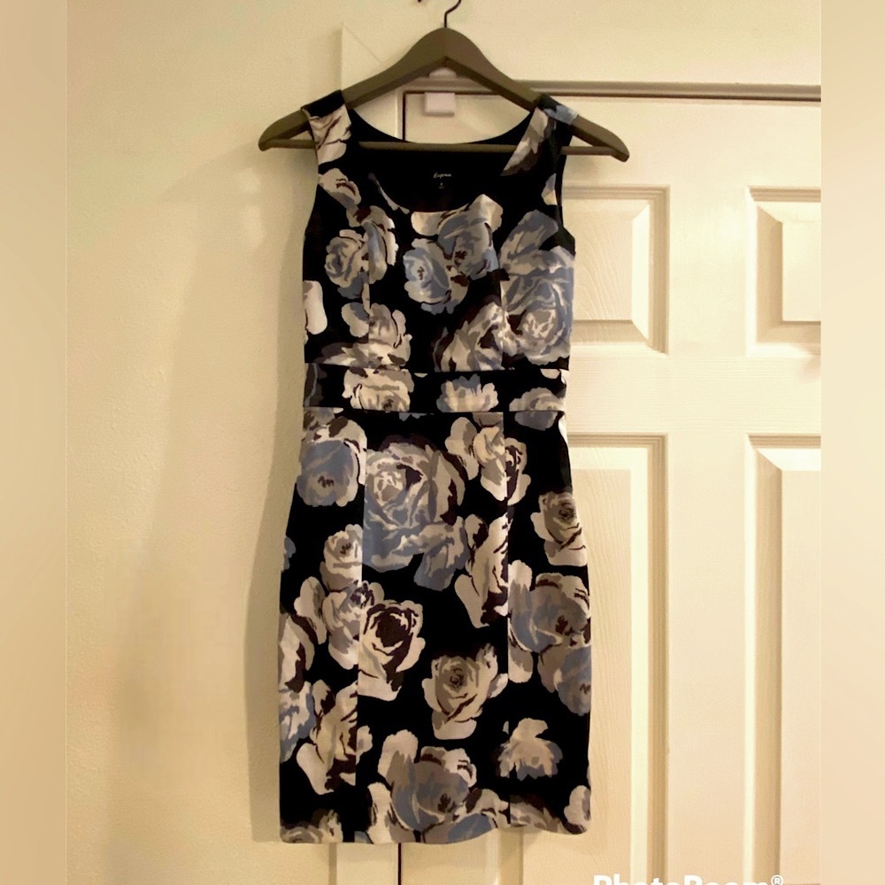 Express Classic Sleeveless Floral Sheath Dress, Size 0 (zero)